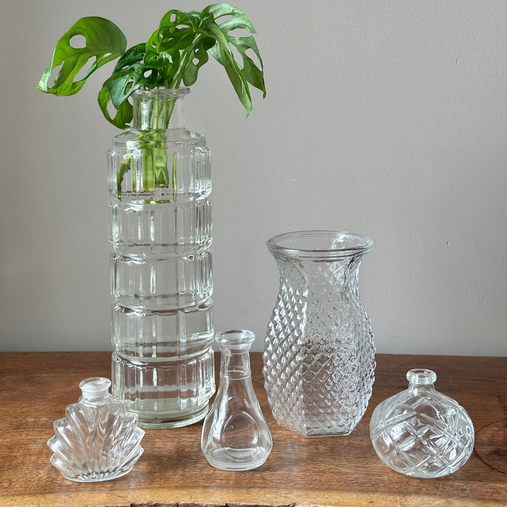 🌿 Plant Propagation Eclectic Glass Bud Vases Lot Vintage Art Deco Flower Vase Ja - Picture 1 of 7